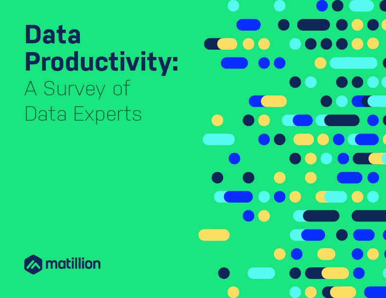 Data Productivity: A Survey of Data Experts