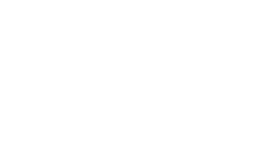 databricks-logo_white.png